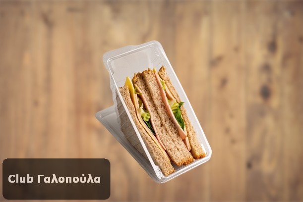 FRESHSANDWICH-CLUB-SAMDWICH-GALOPOULA001